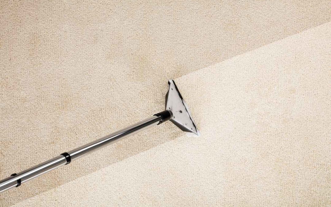How to Maintain and Clean Your Carpets