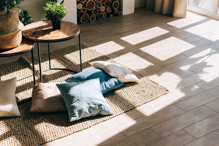 Area rug with coffee table and pillows on the floow in the sun